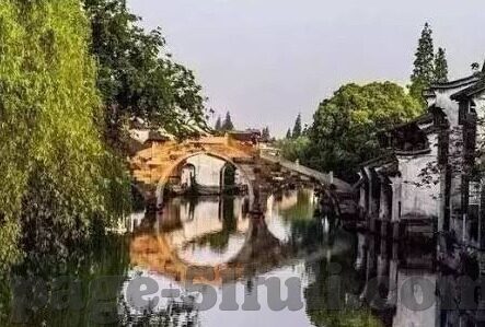 大象传媒dxdztop回家-回家的路，大象传媒Dxdztop的温暖旅程