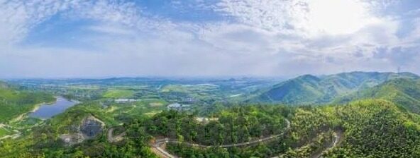 大象传媒网站地址-大象传媒，网络文化的广阔舞台