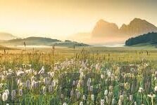 果冻传媒在线观看完整版免费高清-探索果冻传媒，高清在线观看的精彩世界