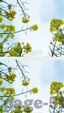 麻豆传媒女艺人名单-麻豆传媒的多元艺术风采，女艺人风采展示