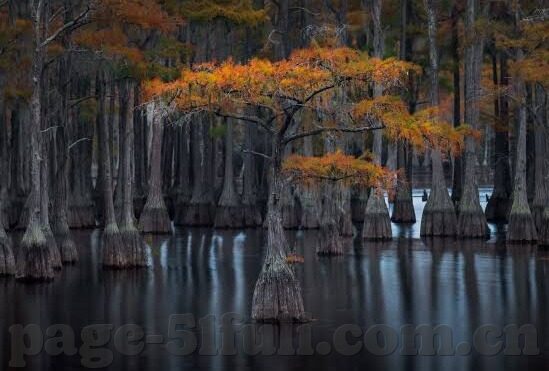 麻豆传媒是什么-麻豆传媒，网络世界的误解与真相