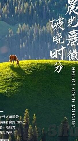 糖心app下载占16mb-探索手机应用精粹，糖心APP的轻盈之旅