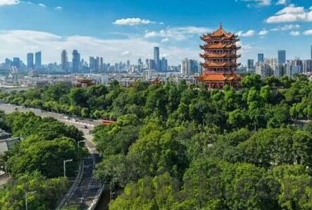 糖心视频app软件-解密糖心视频，探索现代娱乐的别样体验