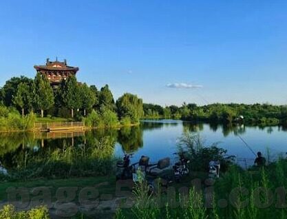 无码精品人妻一区二区三区-探索无码精品人妻的多元魅力，一区、二区、三区的独特风情